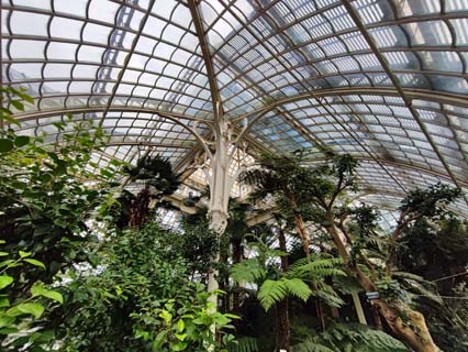 planet-vienna, das palmenhaus im schönbrunner schlosspark