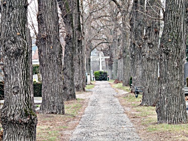 Planet-Vienna, der Friedhof Stadlau in Wien
